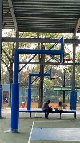 橫豎型單柱籃球架